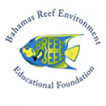 Bahamas Reef Enviroment