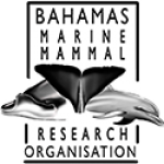 Bahamas Marine Mammal Research Organisation