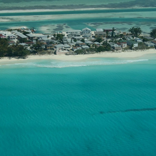 Bimini Island | WildQuest | Wild Dolphin Swims Bahamas