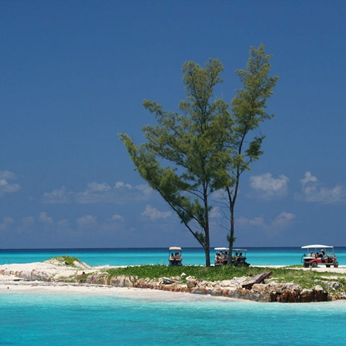 Bimini Island | WildQuest | Wild Dolphin Swims Bahamas