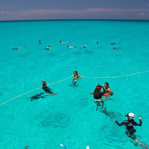 Snorkelling