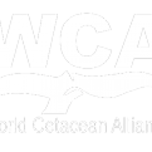 World Cetacean Alliance